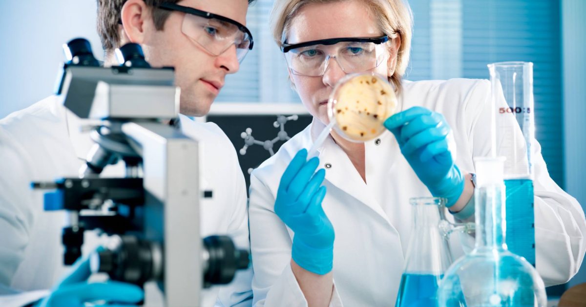 Pfizer uzņēmuma pieredze un populārākie produkti